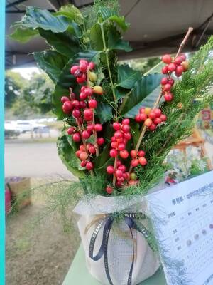 學習型城市之向山擺攤